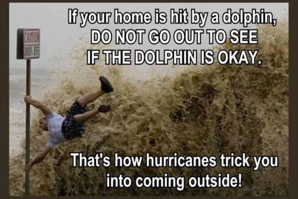 hurricane funny - If your home is hit by a dolphin, Do Not Go Out To See If The Dolphin Is Okay. That's how hurricanes trick you into coming outside!