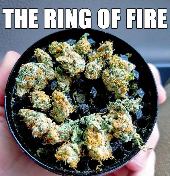 rome high school - The Ring Of Fire