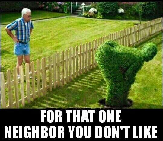 annoy your neighbors - For That One Neighbor You Dont