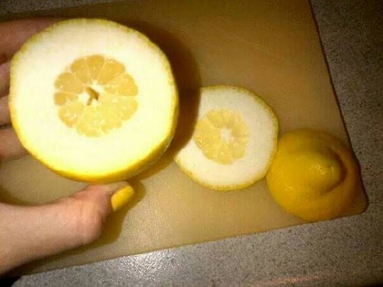 worst lemon