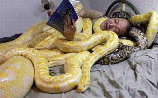 snake in bedroom