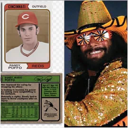 macho man randy savage - Cincinnati Outfield Potpreds Poffomario Pc 195 Tel 11397 Mon improved hewing by dropping his elbow Is looking to increase in power by adding met welshrifing To his workouts Naturally a righty Randy had to learn to throw southpawar