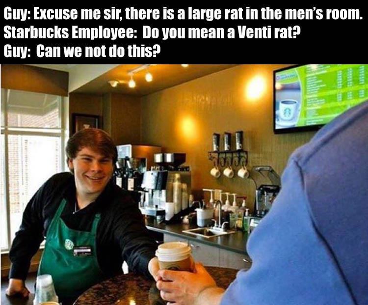 venti rat meme - Guy Excuse me sir, there is a large rat in the men's room. Starbucks Employee Do you mean a Venti rat? Guy Can we not do this?