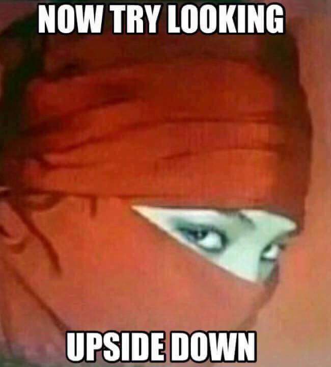 upside down memes - Now Try Looking Upside Down