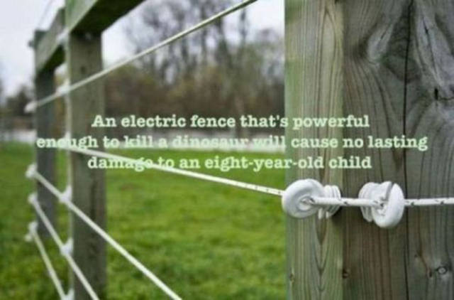 beautiful wire fencing - An electric fence that's powerful energh to kill a dinosaur will cause no lasting damage to an eightyearold child