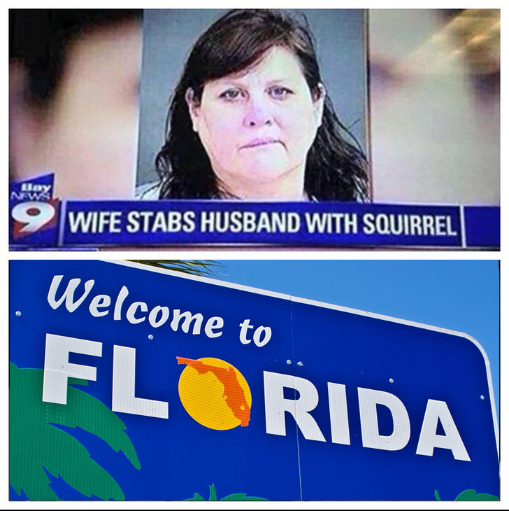 florida - Wife Stabs Husband With Squirrel Welcome to Florida