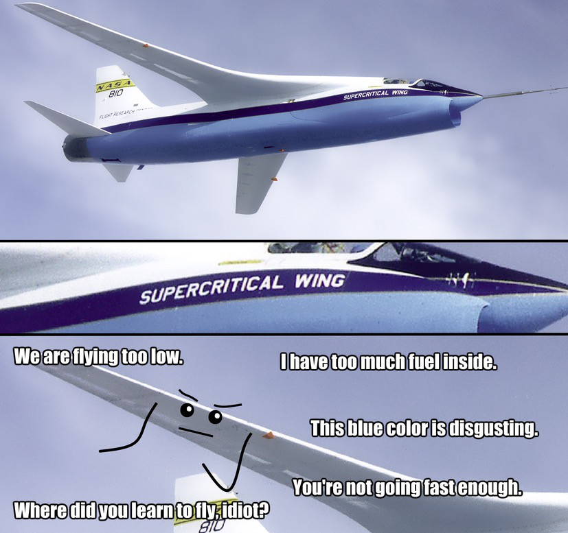 supercritical wing meme - 810 Supercritical Wing Supercritical Wing We are flying too low. I have too much fuel inside. This blue color is disgusting. You're not going fast enough. Where did you learn to fly, Idiol? 010