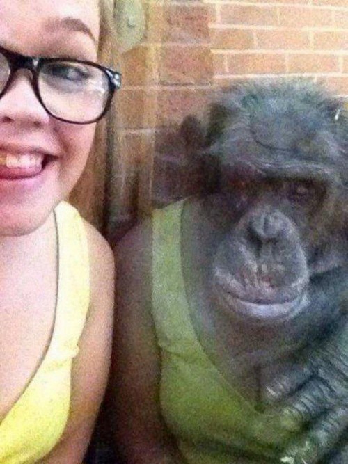girl posing near a monkey