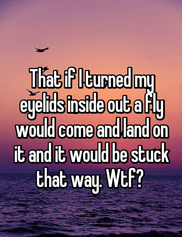 sky - That if Iturned my eyelids inside out afly would come and land on it and it would be stuck that way. Wtf?