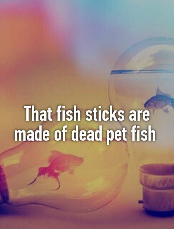 morning - That fish sticks are made of dead pet fish