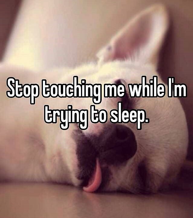 photo caption - Stop touching me while I'm trying to sleep.