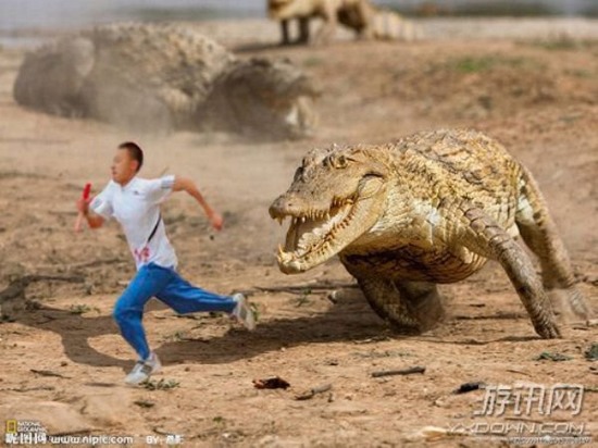 alligator run