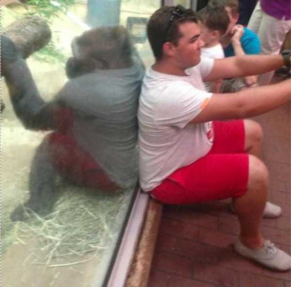 36 Misleading Photos That Will Make You Look Twice