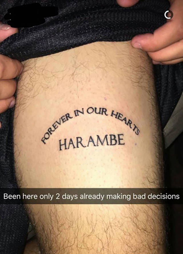 tattoo - In Our Ha Hearts Forever A Harambe Been here only 2 days already making bad decisions