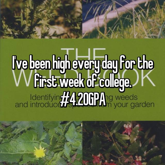 14 First Week Of College Stories!