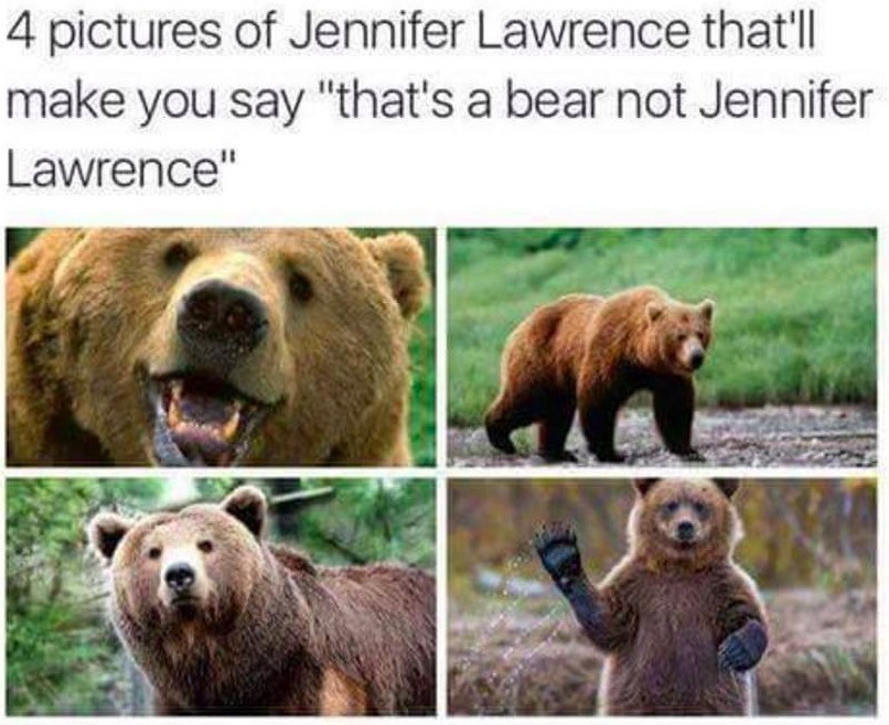 4 pictures of jennifer lawrence that will make you say - 4 pictures of Jennifer Lawrence that'll make you say "that's a bear not Jennifer Lawrence"