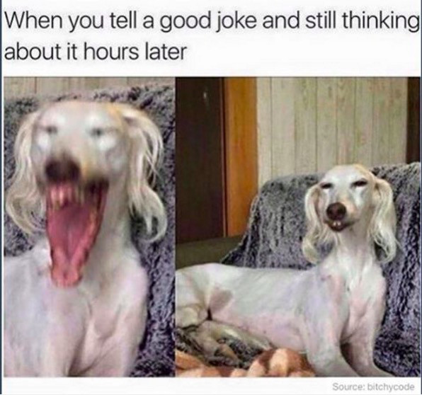 you tell a good joke meme - When you tell a good joke and still thinking about it hours later Sourcebitchycode