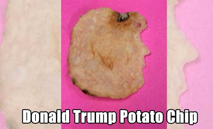 Donald Trump Chip