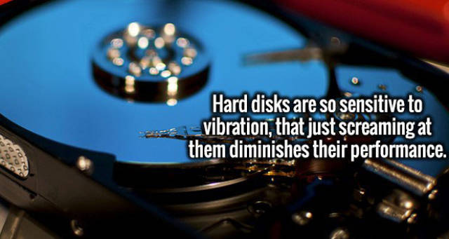 speedometer - Hard disks are so sensitive to vibration, that just screaming at them diminishes their performance.