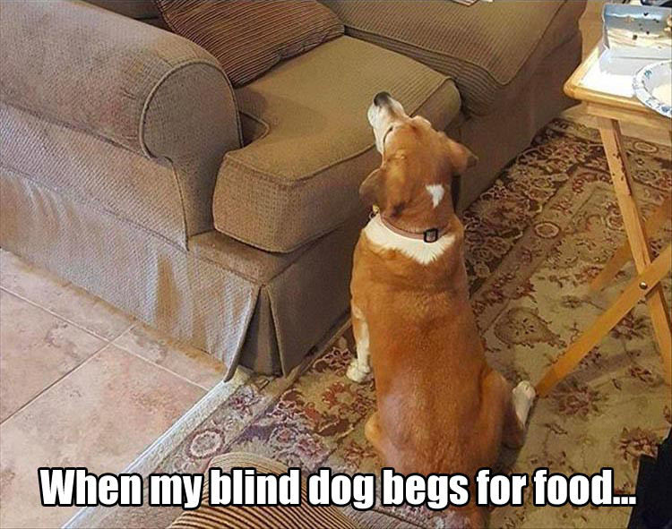 36 Funny Photos To Make Your Day!