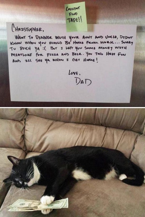 26 Times Parents really enjoyed trolling their kids!