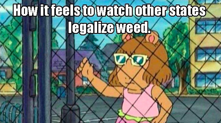 dw at the fence - How it feels to watch other states legalize weed Woo