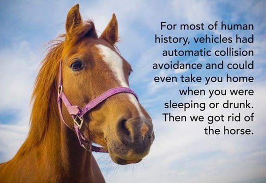 then we got rid of the horse - For most of human history, vehicles had automatic collision avoidance and could even take you home when you were sleeping or drunk. Then we got rid of the horse.