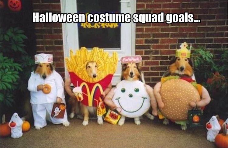 animal halloween - Halloween costume squad goals... Tylish