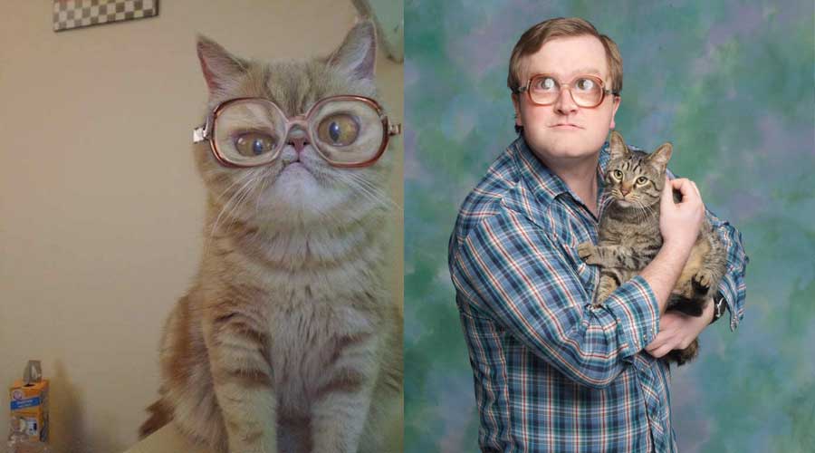 20 Feline Celebrity Dopplegangers!