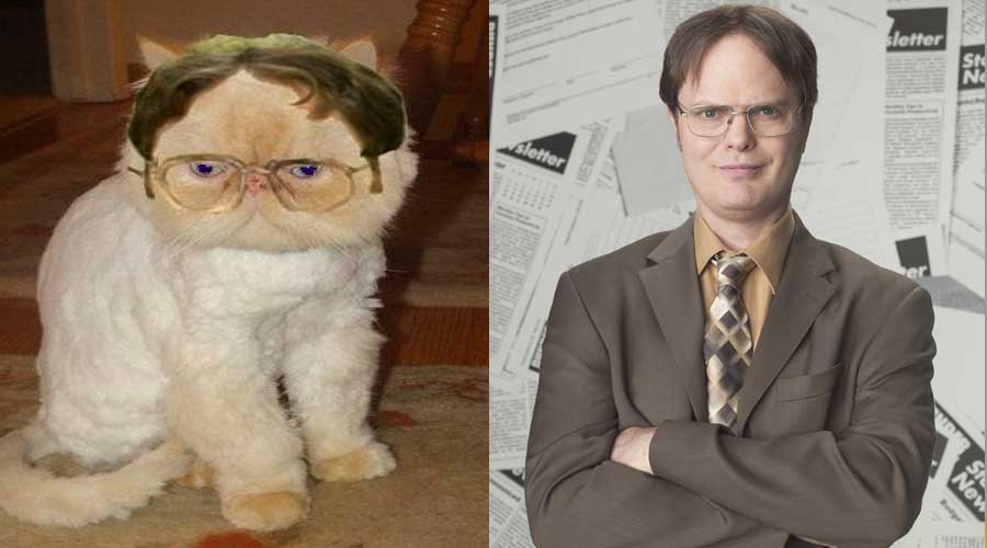 20 Feline Celebrity Dopplegangers!