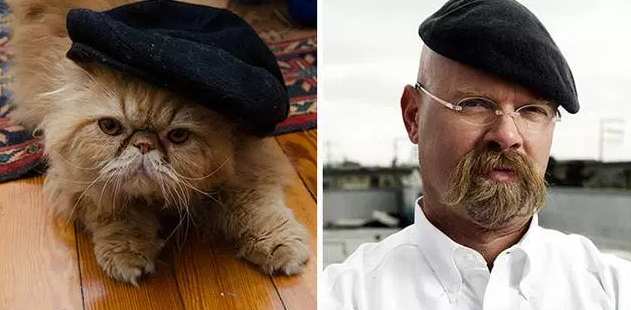 20 Feline Celebrity Dopplegangers!