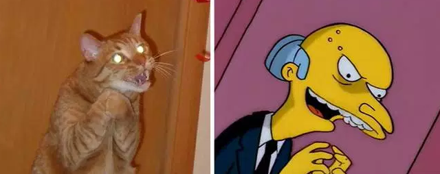 20 Feline Celebrity Dopplegangers!