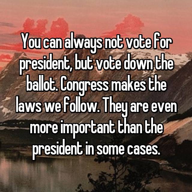 morning - You can always not vote for president, but vote down the ballot. Congress makes the laws we . They are even more important than the president in some cases.