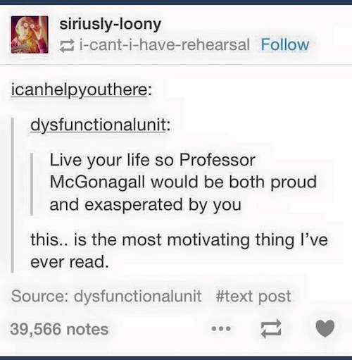 tumblr - fantastic beasts tumblr funny - siriuslyloony icantihaverehearsal icanhelpyouthere dysfunctionalunit Live your life so Professor McGonagall would be both proud and exasperated by you this.. is the most motivating thing I've ever read. Source dysf