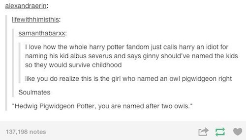 tumblr - funniest harry potter posts - alexandraerin lifewithhimisthis samanthabarxx I love how the whole harry potter fandom just calls harry an idiot for naming his kid albus Severus and says ginny should've named the kids so they would survive childhoo