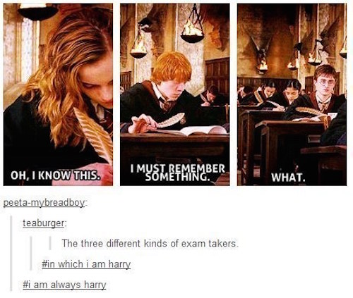 tumblr - exams are coming - Oh, I Know This. Mysteemember What. peetamybreadboy teaburger The three different kinds of exam takers which i am harry am always harry