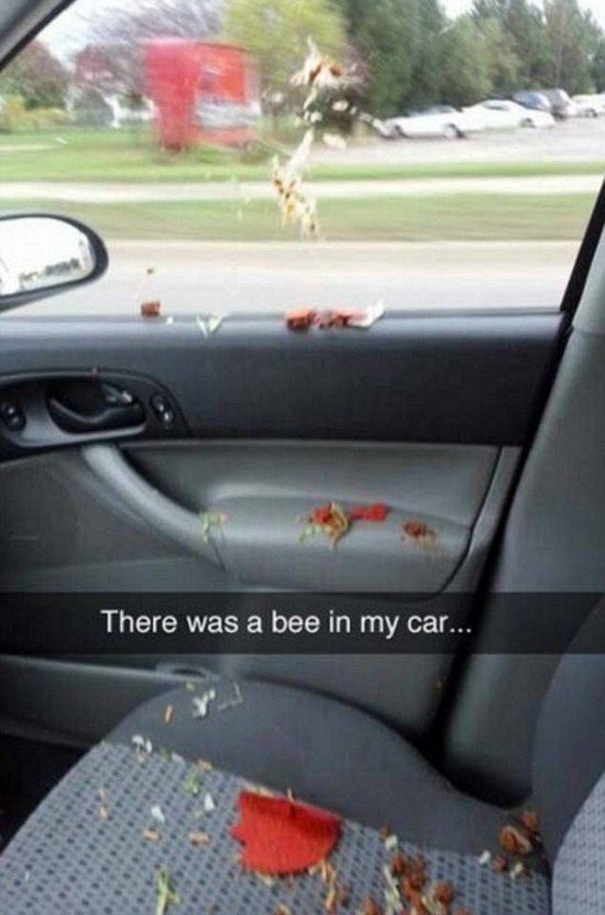 26 Funny snapchats that are worth wasting your time in