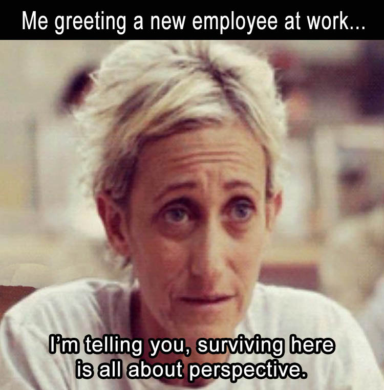 work memes - Me greeting a new employee at work... I'm telling you, surviving here is all about perspective.