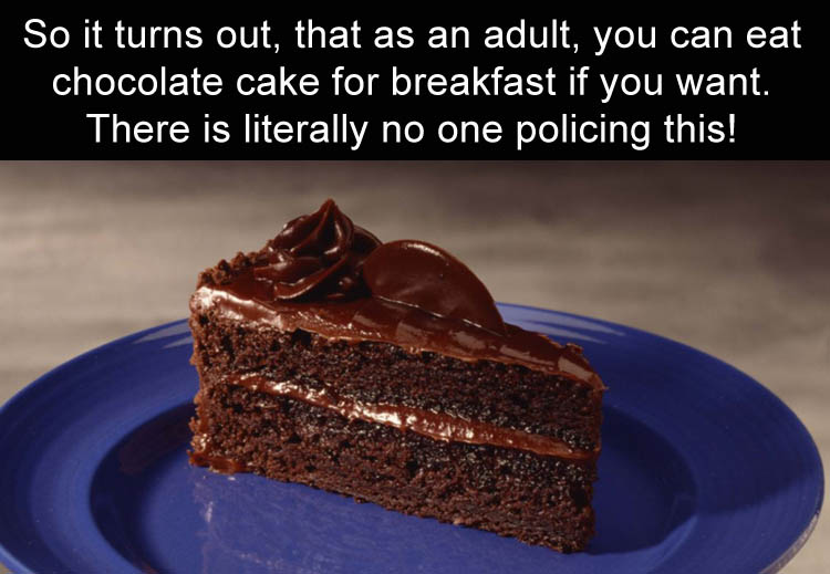 chocolate cake funny - So it turns out, that as an adult, you can eat chocolate cake for breakfast if you want. There is literally no one policing this!