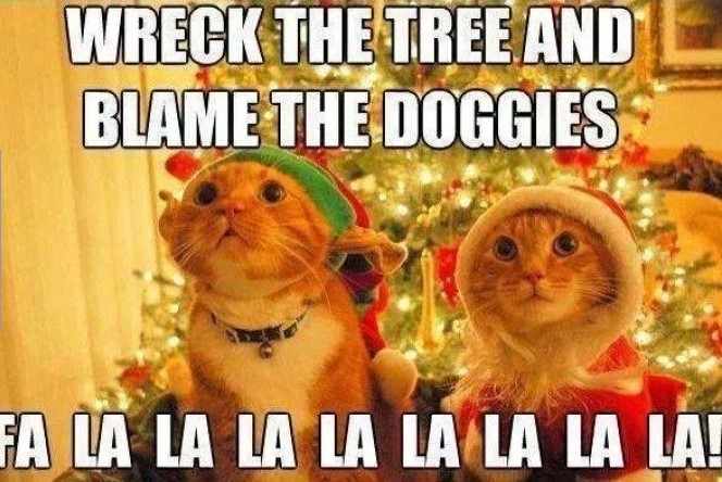 36 Holiday Pics And Memes For Your Merriment!