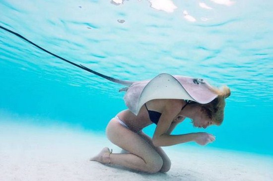 can stingrays kill you