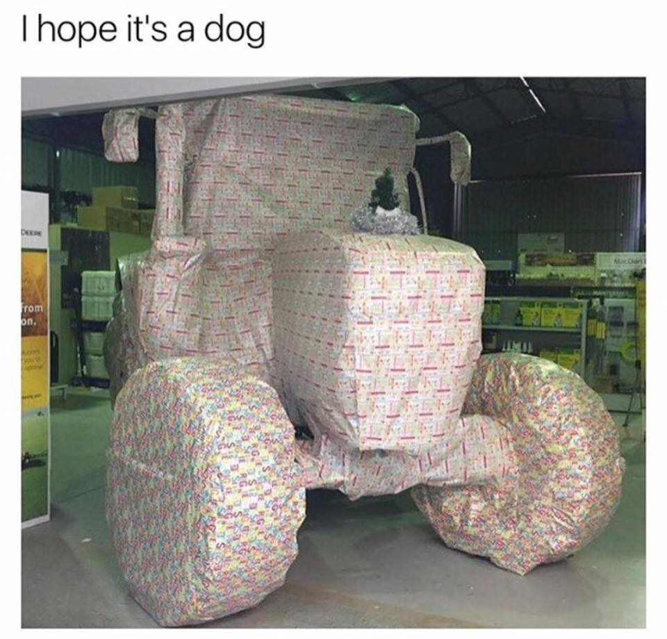 hope it's a dog meme - Thope it's a dog from on.