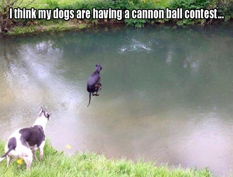 32 Funny random pictures to enhance your day!