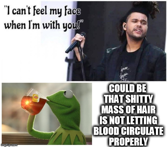 25 Best Memes About the Weeknd's Hair!