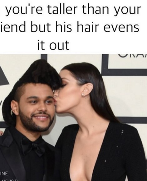 25 Best Memes About the Weeknd's Hair!