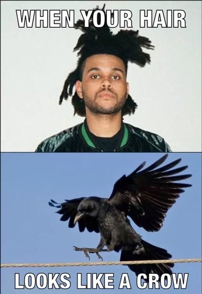 25 Best Memes About the Weeknd's Hair!