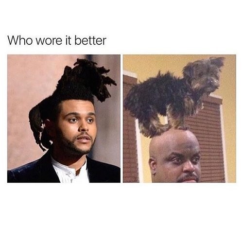 25 Best Memes About the Weeknd's Hair!