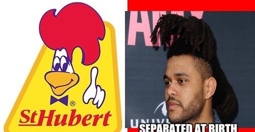 25 Best Memes About the Weeknd's Hair!