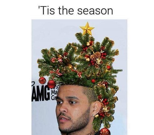 25 Best Memes About the Weeknd's Hair!