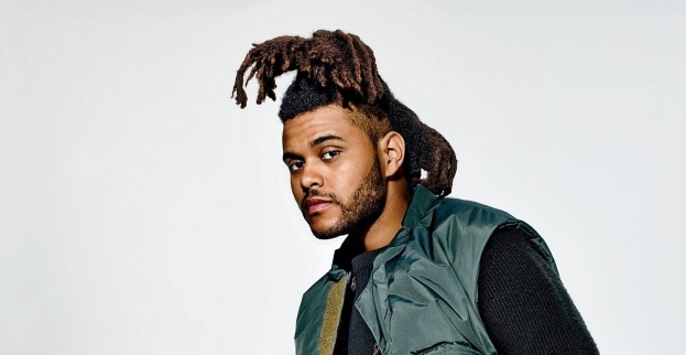 25 Best Memes About the Weeknd's Hair!